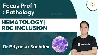 Hematology | RBC Inclusion | Focus Prof 1 : Pathology | Unacademy Future Doctors | Dr.Priyanka