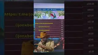 How I Win Dragon's Gold on 1xbet Using Dragon's Gold Script
