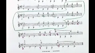 Meadow Minuet for Samuel