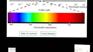 Light and Pigments