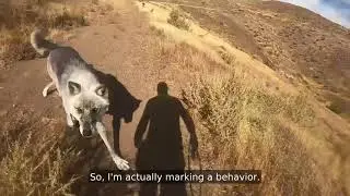 HIKE WITH THE PACK