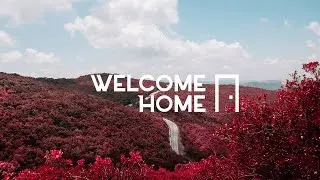 shleepytime - Grenadine Grove