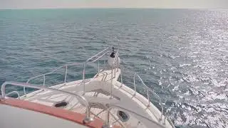 Yacht Sailing on the Ocean 