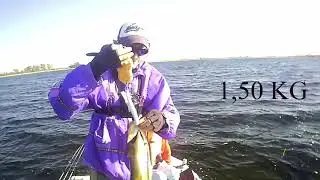 Boskop Dam Bass Fishing September 2020