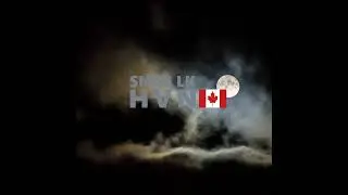 🇨🇦 taktika x yvon krevé - immortels