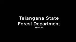 Comprehensive plastic waste management being followed in Amrabad Tiger Reserve