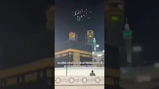 lockdown hajj by birds