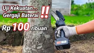 Potong POHON BESAR pakai Gergaji baterai chainsaw mini cordless #tools #woodworking #powertools 