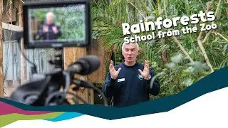 School from the Zoo - Rainforests