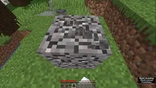 Minecraft: Java Edition, Enter Nether 1.16.1 in 06:32 by fewztea
