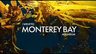 MONTEREYBAY2026