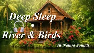 🌿Relaxing Jungle Cabin Ambience | River Sounds, Birds Singing & Forest Relaxation | 4K Nature Sounds