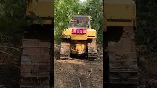Bulldozer D6R XL Expert in New Road Making in the Garden