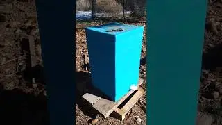 Overwintering Experiment in a Lyson Mating Nuc