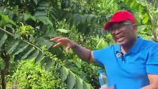 Le Président de  MPM, M. Maecha Badaoui  continue de faire le tour dans les zones touristique. 