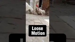 Aseel Loose Motion | Diarrhea Treatment #aseel #shorts #treatment