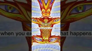 JRE: DMT Machine Elves