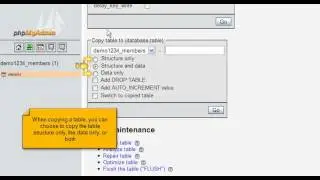 Copying a database table with phpMyAdmin (Flipper Host)