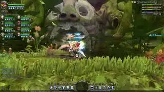 Green Dragon Nest Classic - Majesty POV | Dragon Nest Classic