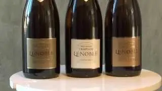 Champagne Lenoble 2013  English