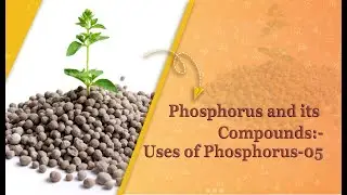Phosphorus and its Compounds:-Uses of Phosphorus-05