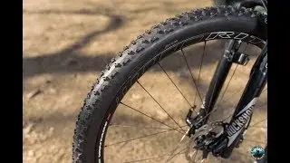 In test: RITCHEY Trail Bite WCS 29 x 2.25