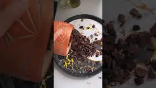 Orkide bakımı nasıl yapılır?