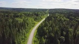 Car Driving Along The Forest Road Stock Video