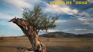 Производство и продажа Юрт - YurtaLux.com