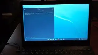 Ok Google?  Testing Google Assistant on Chrome OS Flex