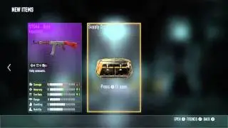 Call of Duty: Advanced Warfare legendry and arx steel bite