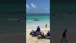 Ocean Blue & Sand Hotel, Bavaro Beach, Punta Cana