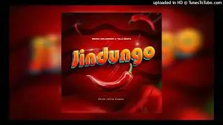 Edson Influ&ecirc;ncer & Yala Beats - Jindungo (Instrumental Afro House)