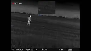 AAC 62gr Sabre blade and Pulsar talion xq38 Thermal COYOTE kill