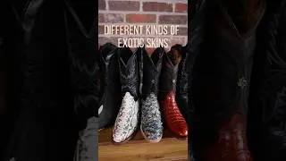 Which exotic skin is your favorite? #westernwear #cowboyboots #shorts