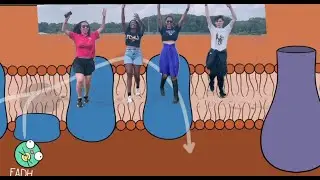 atp - apt parody (ap bio final project)