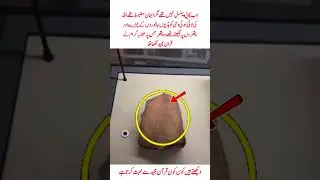 Sahaba Kram KY hath se likha Quran Pak #shortsfeed #trendingnow #viralvideo #love