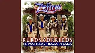 Los Quinis