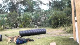 fight club / K9 Candidates