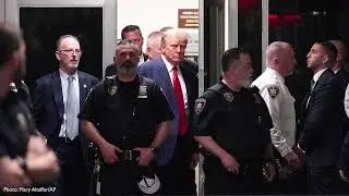 Chatting the Pictures:  The Court in Trump&rsquo;s Own Image