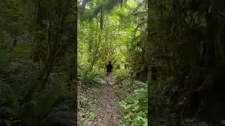 Sunny afternoon hike. Nothing but the crunch of our shoes and the sound of the birds.