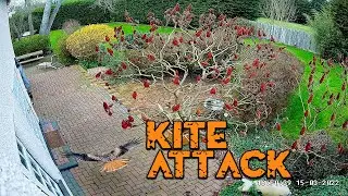Red Kite attack