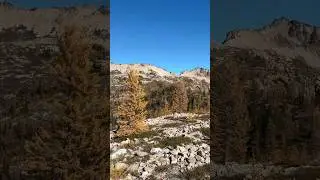 Cutthroat Pass in Washington