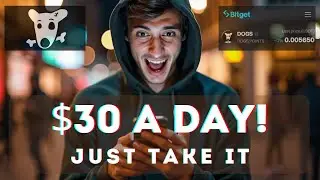 Dogs App on Telegram. Guide / Coin Price / How To Earn More?!