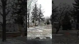 Chicago gravesite of Resurrection Mary (sorry for poor quality)