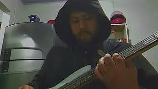 The Sleep Design - Fire, the Grave, & the Eyes of Man (COVER BASS)