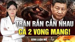 Trung Cộng: Nội bộ trăn rắn đấu nhau, bên nào chết trước?|QSM Bình Luận