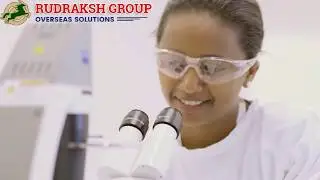 rudraksh group immigration | RudrakshGroup | Rudraksh Group Mohali | Rudraksh Immigration