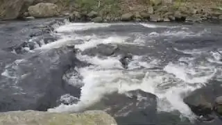 #NatureOfHope