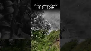 Forgotten War Echoes, Still Felt Today
